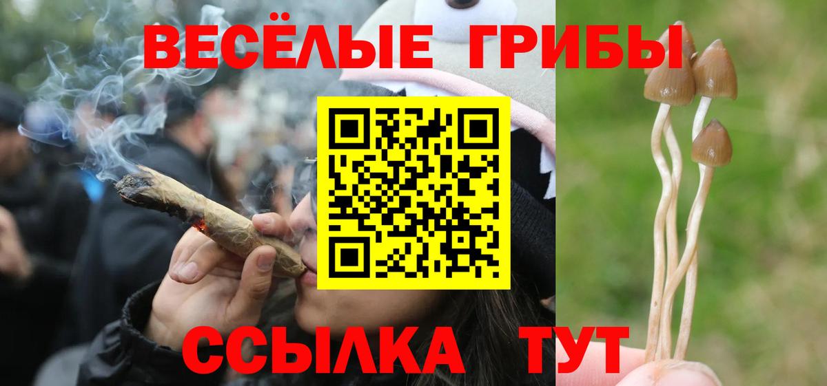 Псилоцибиновые грибы Psilocybine cubensis  Вход с VPN  Новоалтайск 